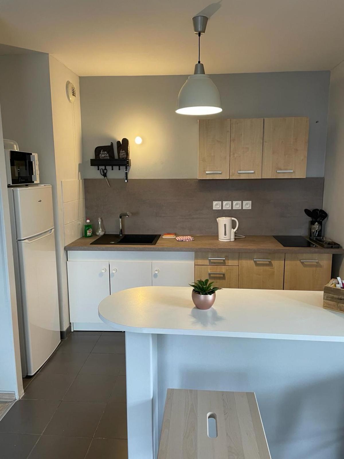 Appartement 2 Chambres Avec Terrasse Et Garage Saint-Andre-lez-Lille Ngoại thất bức ảnh